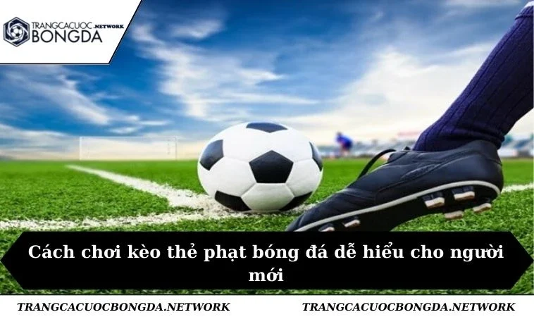 Cách chơi kèo thẻ phạt bóng đá dễ hiểu cho người mới