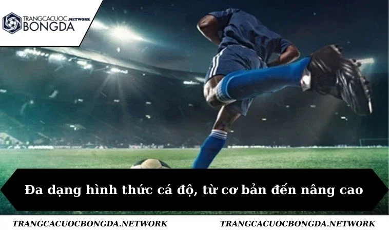 Đa dạng hình thức cá độ, từ cơ bản đến nâng cao