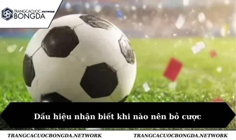 Dấu hiệu nhận biết khi nào nên bỏ cược