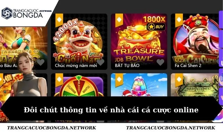 Đôi chút thông tin về nhà cái cá cược online