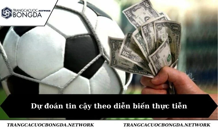 Dự đoán tin cậy theo diễn biến thực tiễn