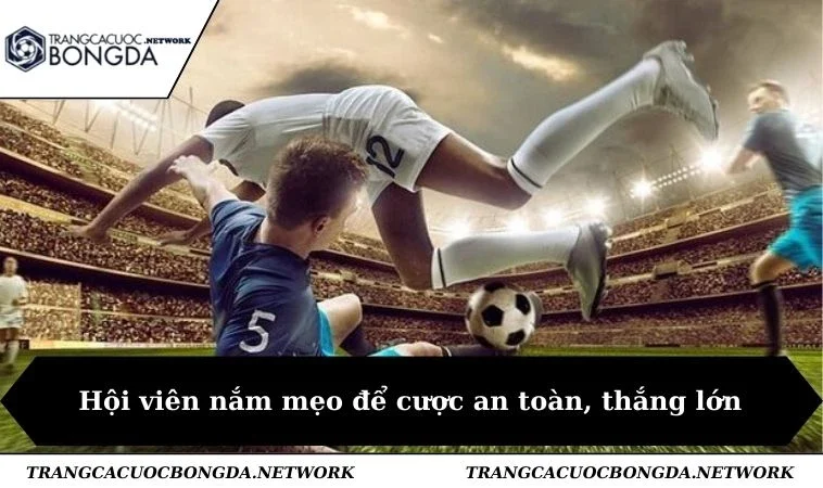 Hội viên nắm mẹo để cược an toàn, thắng lớn