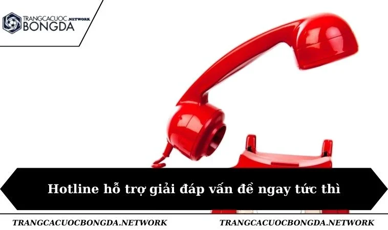 Hotline hỗ trợ giải đáp vấn đề ngay tức thì