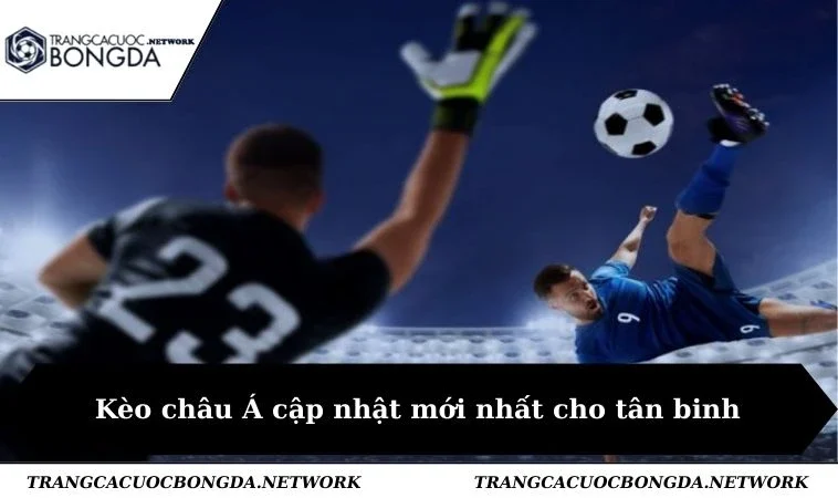 Kèo châu Á cập nhật mới nhất cho tân binh