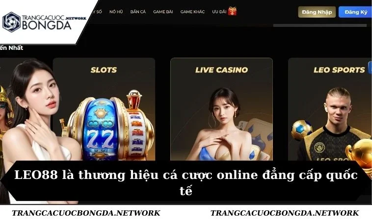 LEO88 là thương hiệu cá cược online đẳng cấp quốc tế