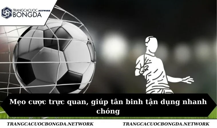 Mẹo cược trực quan, giúp tân binh tận dụng nhanh chóng