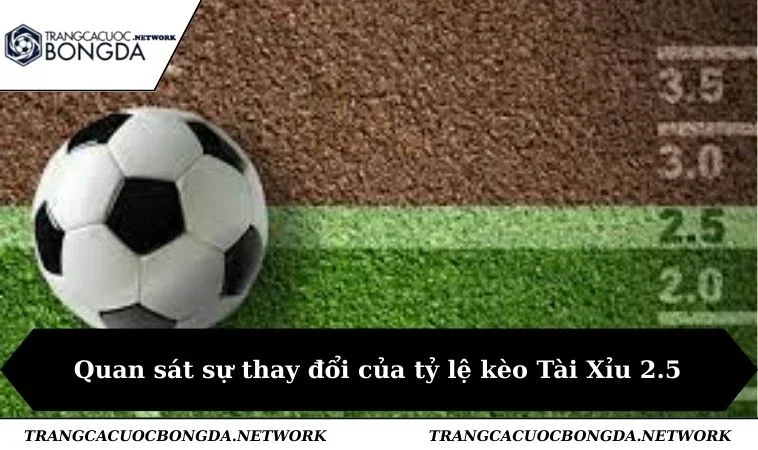 Quan sát sự thay đổi của tỷ lệ kèo Tài Xỉu 2.5