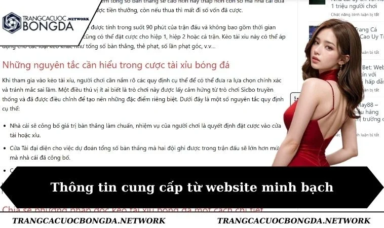 Thông tin cung cấp từ website minh bạch
