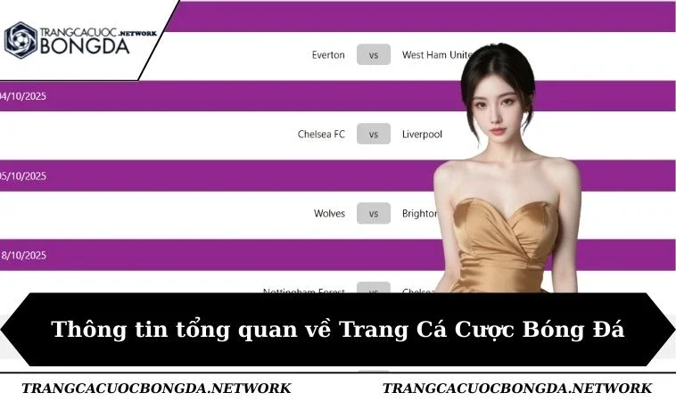 Thông tin tổng quan về Trang Cá Cược Bóng Đá