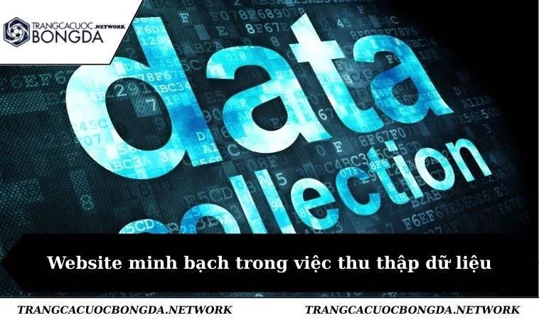Website minh bạch trong việc thu thập dữ liệu