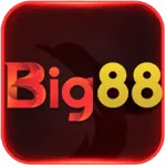logo big88